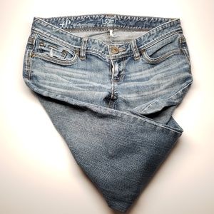 ANN TAYLOR LOFT Modern Slim Jeans